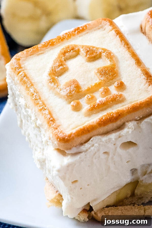 closeup of banana pudding ready to be served