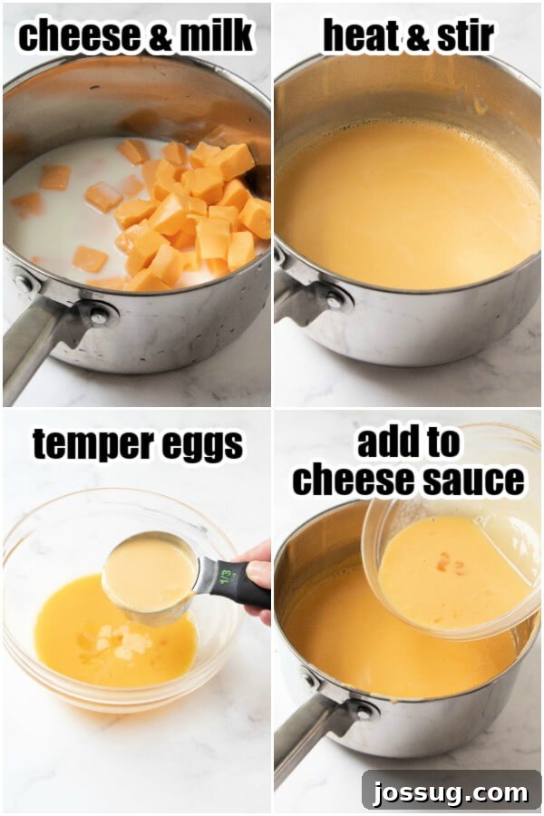 Soulful Southern Mac and Cheese 4 how to make the cheese sauce