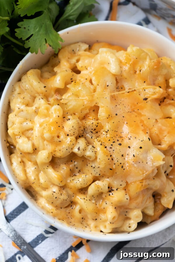 Soulful Southern Mac and Cheese 7 looking down on a bowl of baked mac and cheese