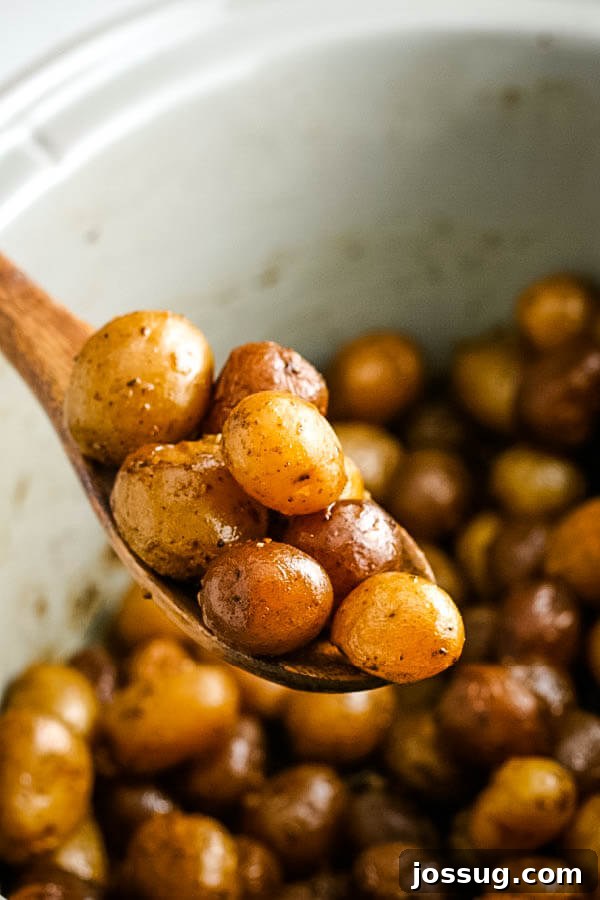 Slow Cooked Garlic Parmesan Potatoes 6 cooked potatoes on wooden spoon over slow cooker crock
