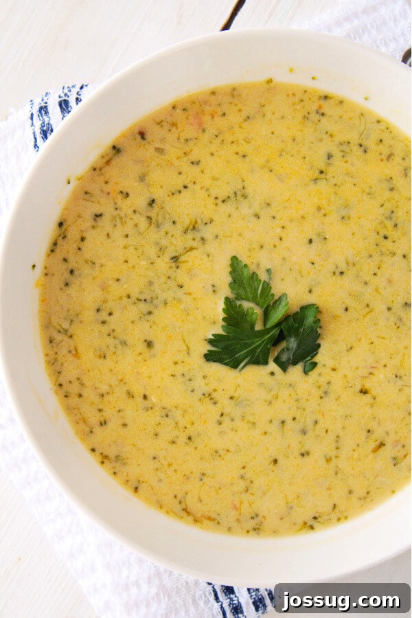 Velvety Instant Pot Broccoli Bliss 7 Overhead view of a beautiful bowl of Instant Pot Cream of Broccoli Soup, inviting and ready to eat.