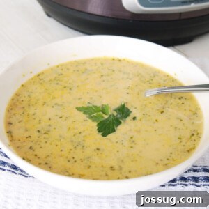 A bowl of creamy Instant Pot Broccoli Soup