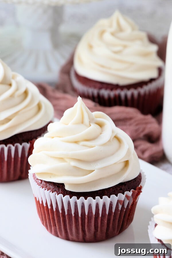 Irresistible Cream Cheese Swirl 3 frosted cupcakes
