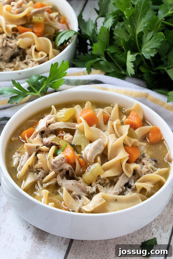Effortless Instant Pot Chicken Noodle Soup 2 Classic Instant Pot Chicken Noodle Soup served in a white bowl with fresh herbs