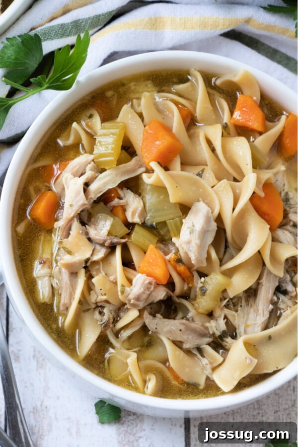 Effortless Instant Pot Chicken Noodle Soup 6 Overhead view of a steaming bowl of Instant Pot Chicken Noodle Soup, garnished with fresh parsley