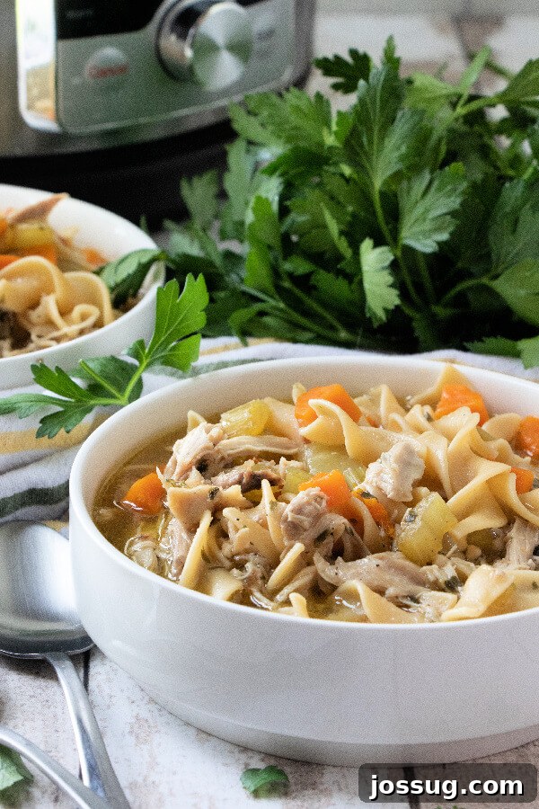 Effortless Instant Pot Chicken Noodle Soup 7 Two bowls of Instant Pot Chicken Noodle Soup garnished with fresh herbs, with an Instant Pot in the background
