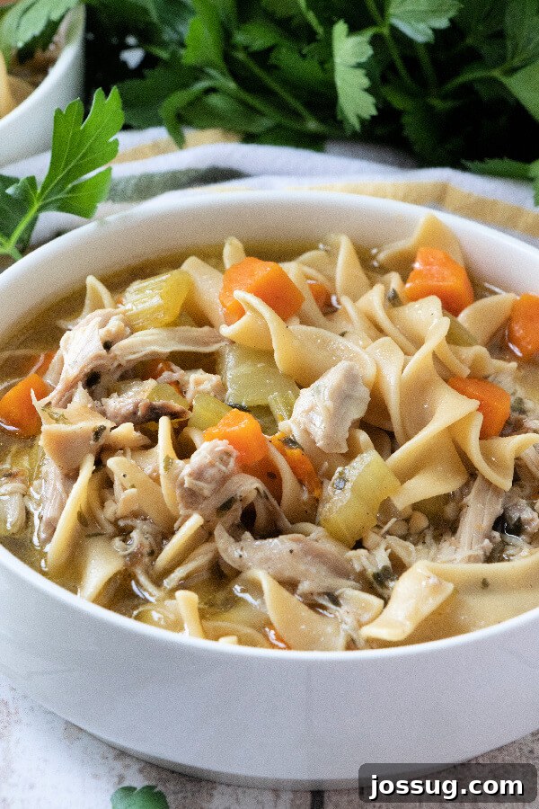 Effortless Instant Pot Chicken Noodle Soup 8 A single white bowl of Instant Pot Chicken Noodle Soup on a rustic surface