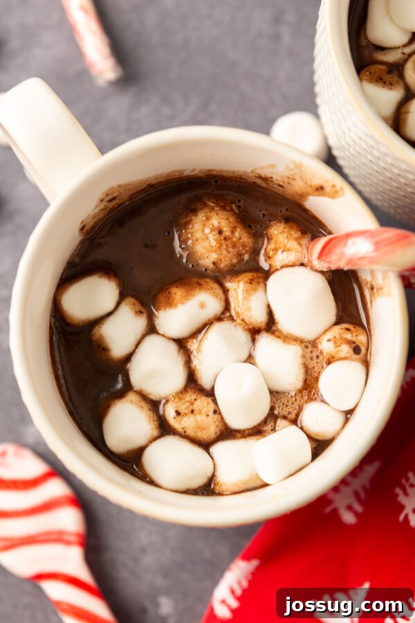 Nutella Infusion 2 Nutella Hot Chocolate in a mug with marshmallows