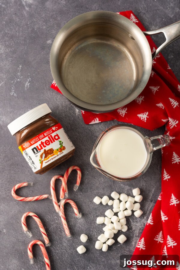 Nutella Infusion 3 Ingredients to make Nutella hot chocolate