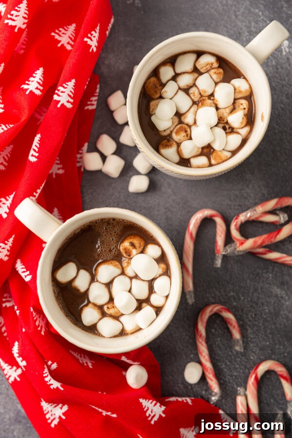 Nutella Infusion 7 Looking down into two mugs of hot chocolate