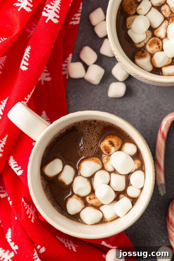 Nutella Infusion 8 Mug of nutella hot chocolate with marshmallows