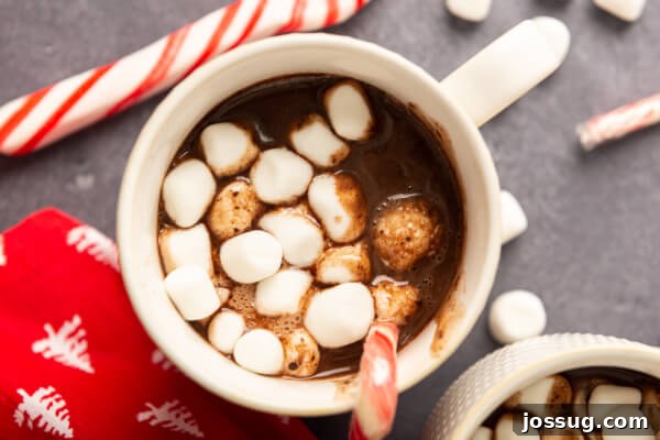 Nutella Infusion 9 Looking down into a mug of utella hot chooclate with marshmallows