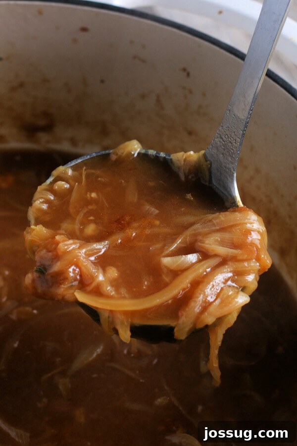 Golden Gratin French Onion Soup 8 A ladle scooping a generous portion of steaming French Onion Soup from a pot, showcasing the rich brown broth.