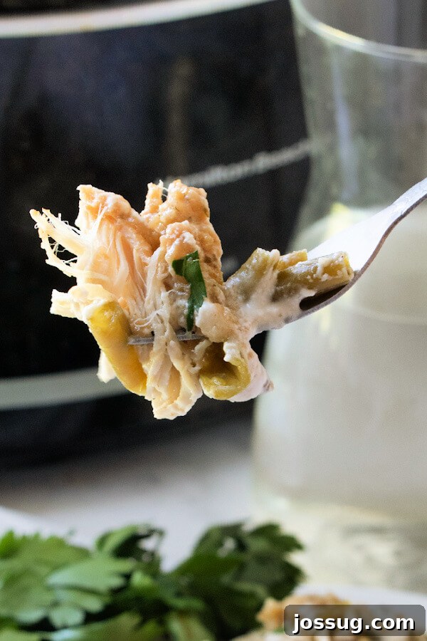 One-Pot Slow Cooker Chicken Stuffing Green Bean Dinner 9 A fork taking a bite of the flavorful Slow Cooker Chicken Stuffing Green Bean Casserole, showing its rich layers