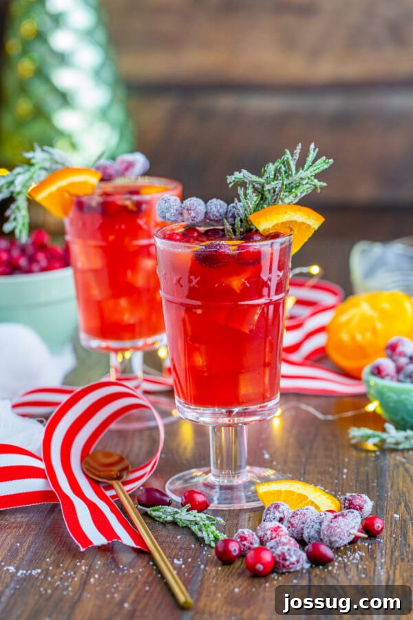 non alcoholic Christmas drinks with winter background and festive garnishes