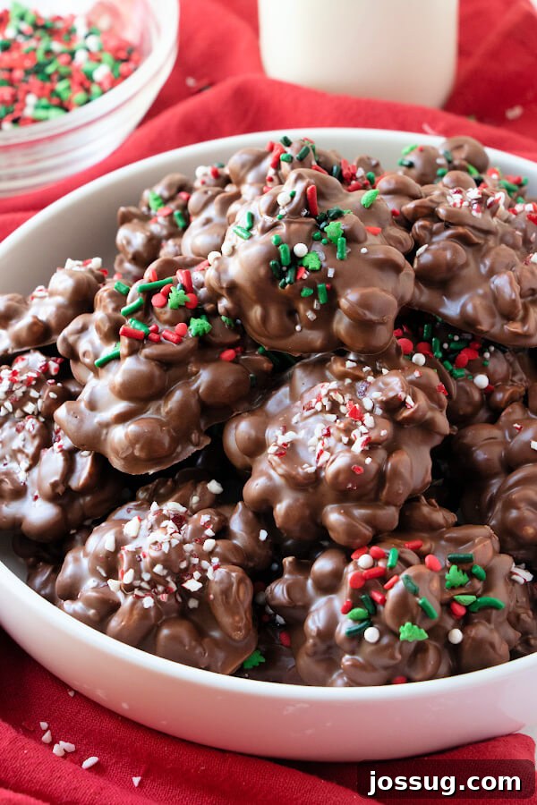 Crockpot Chocolate Treats 3 Close-up shot of chocolate peanut candies arranged in a festive bowl.