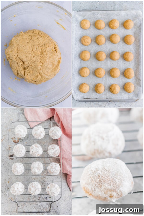 A baking sheet with unbaked cookie dough balls, and a wire rack with freshly baked, powdered sugar-coated Gingerbread Pecan Snowballs, demonstrating the baking process.
