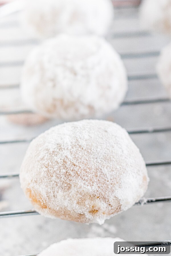 Freshly baked Gingerbread Pecan Snowballs cooling on a wire rack, covered in powdered sugar, highlighting their delicate texture.