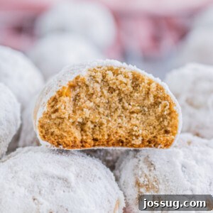 Closeup of a Gingerbread Pecan Snowball cookie cut in half, revealing the spiced, nutty interior and snowy powdered sugar coating, inviting a taste.