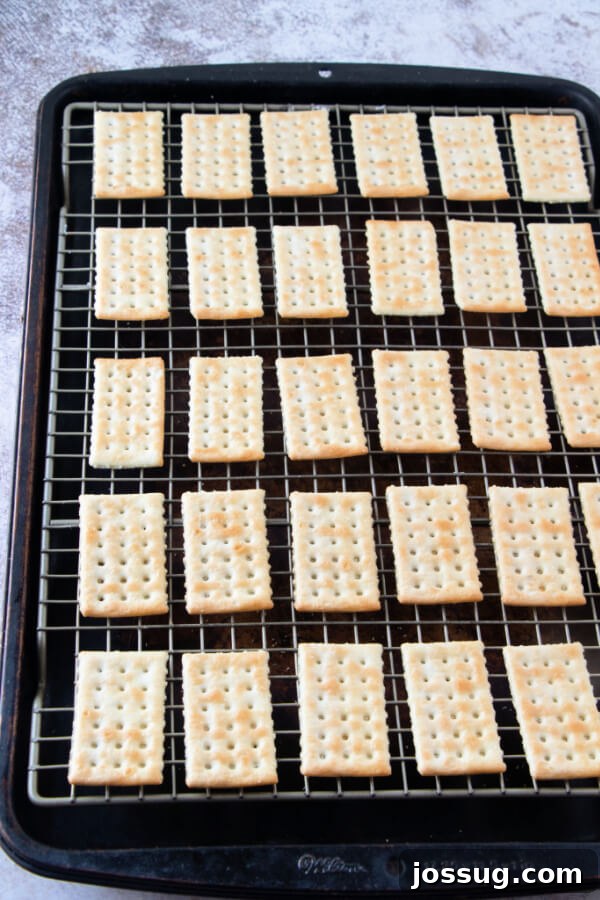 Candied Bacon Crackers 3 Buttery crackers arranged neatly on a baking sheet with a wire rack, perfectly spaced and ready for the bacon and brown sugar topping, illustrating the first step in making this easy appetizer.