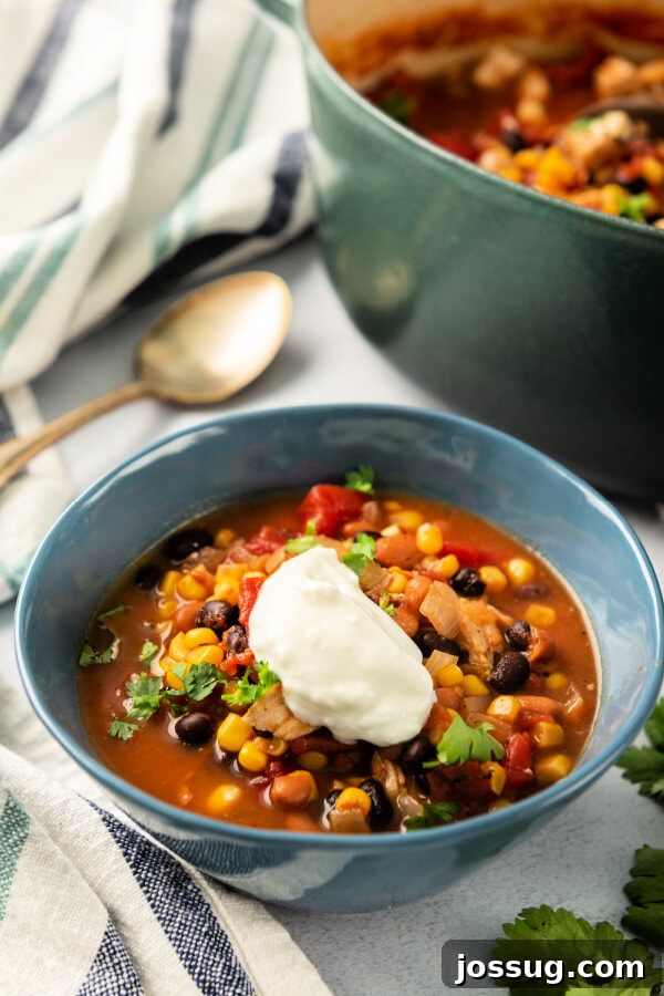 Hearty chipotle chicken soup in a bowl, garnished with a dollop of sour cream and fresh cilantro, ready to be enjoyed.