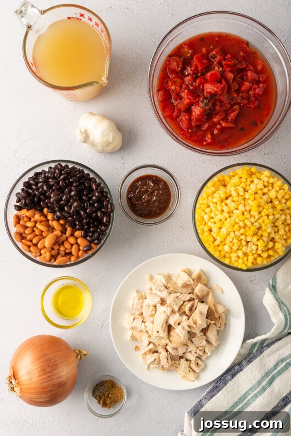 A selection of fresh and canned ingredients laid out on a kitchen counter, prepared for making a savory soup, including onions, garlic, beans, corn, and tomatoes.