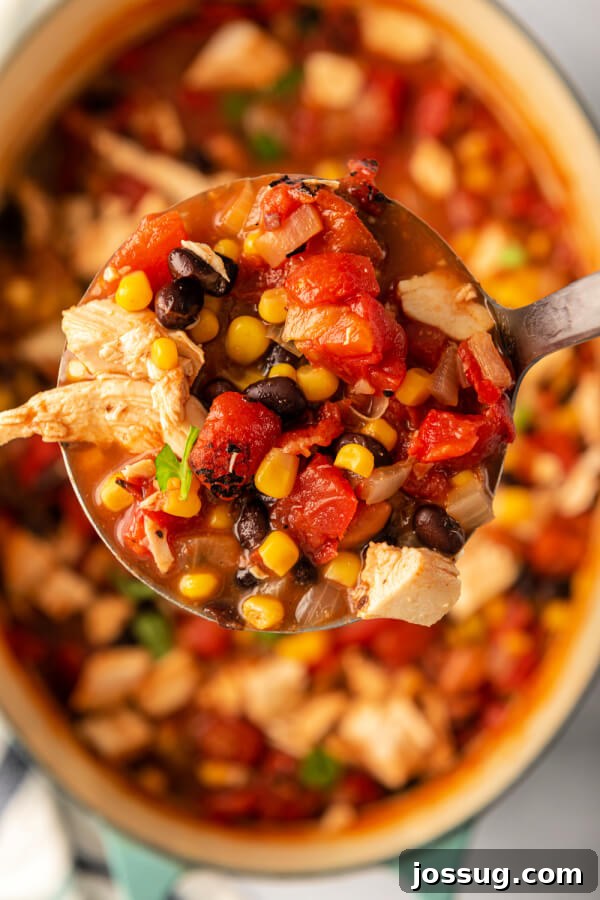 A ladle full of rich, chunky chipotle chicken soup being lifted from a large pot, showcasing its hearty consistency and delicious ingredients.