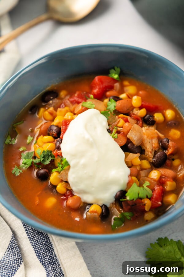 A bowl of chipotle chicken soup filled with a rich mix of vegetables, chicken, and beans, showcasing its wholesome appeal and vibrant colors.