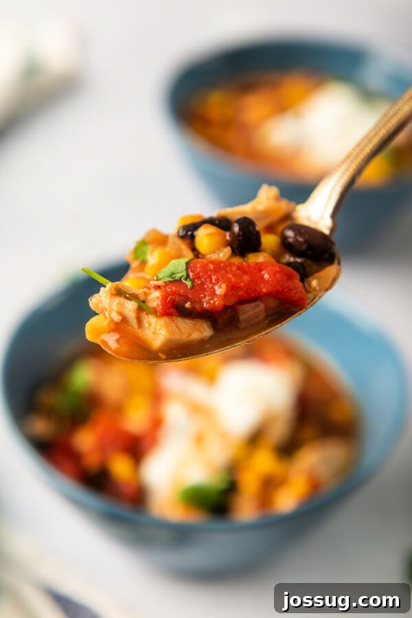 A spoon lifting a portion of chipotle chicken soup, highlighting the texture and richness of the dish, showing visible chicken, beans, and corn.