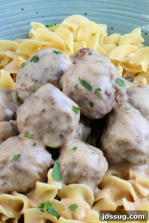 A close-up shot of a plate of finished Swedish Meatballs served over wide egg noodles, generously coated in creamy gravy and garnished with fresh parsley.