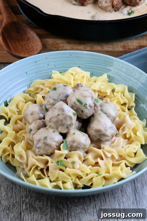 A hearty bowl of wide egg noodles topped generously with Swedish Meatballs and their creamy, brown gravy, ready to be enjoyed.