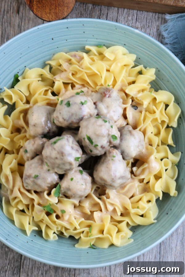 An overhead view of a steaming bowl filled with Swedish Meatballs, generously coated in their rich sour cream gravy, nestled on a bed of wide egg noodles.