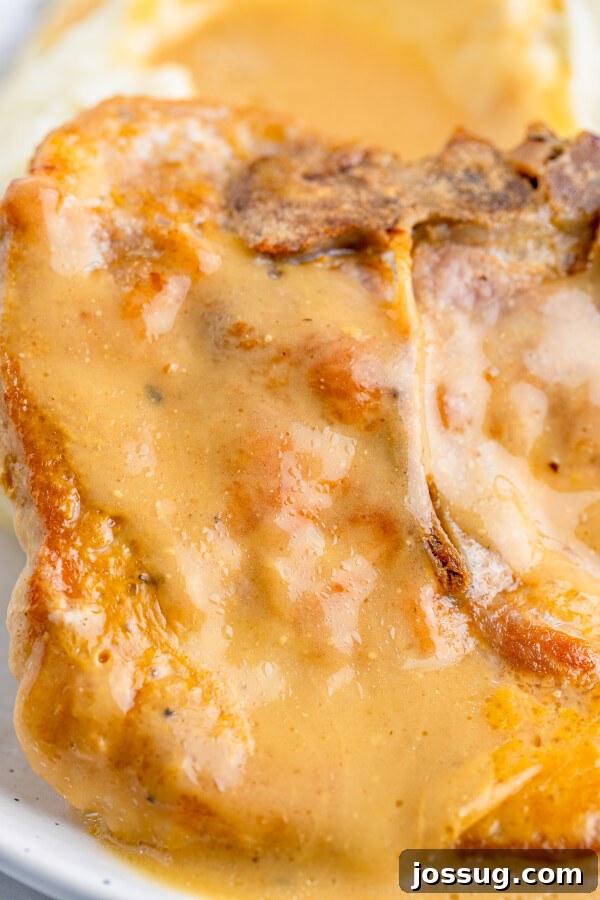Tender Baked Pork Chops in Rich Pan Gravy 3 Close-up of a tender baked pork chop submerged in a delicious, creamy gravy
