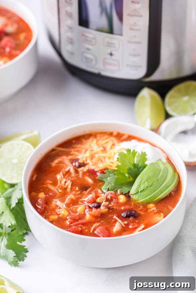 A bowl of Instant Pot Enchilada Soup with a pressure cooker in the background.