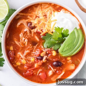 closeup of enchilada soup in white bowl