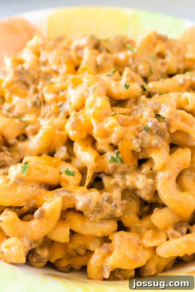 Closeup of creamy one-pot cheeseburger pasta in a bowl, topped with melted cheese and fresh herbs, ready to be served.
