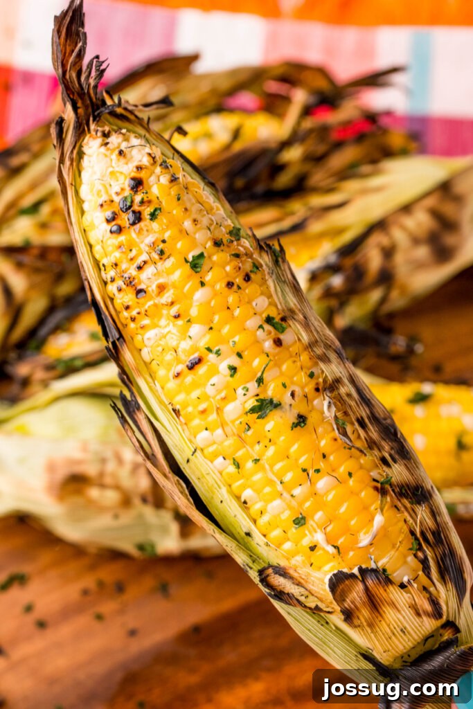 Perfectly Charred Sweet Corn 2 ear of grilled corn