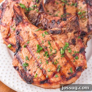 close-up view of perfectly grilled pork chops arranged on a plate