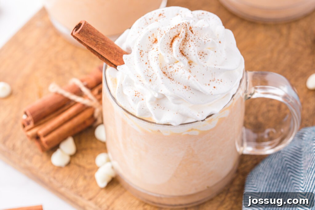 Velvet Pumpkin Spice Cocoa 5 glass of pumpkin spice hot chocolate