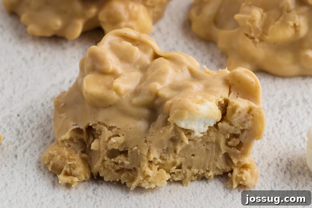 rocky mountain snowdrops no bake cookies