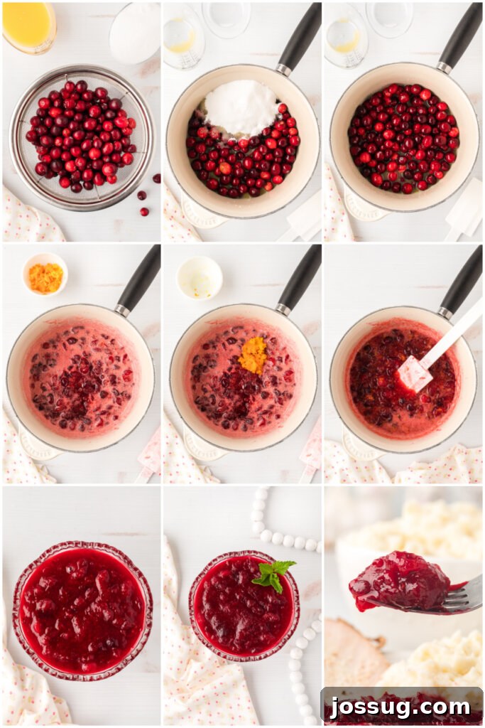 Ruby Red Holiday Delight 4 Three stages of making cranberry sauce: fresh cranberries, cranberries simmering in a pot, and finished sauce in a bowl