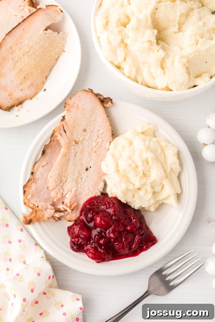 Ruby Red Holiday Delight 5 A Thanksgiving plate with sliced turkey, creamy mashed potatoes, and a generous dollop of cranberry sauce