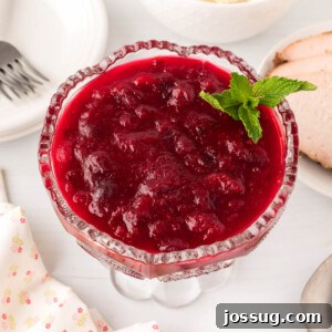 Ruby Red Holiday Delight 7 cranberry sauce garnished with mint