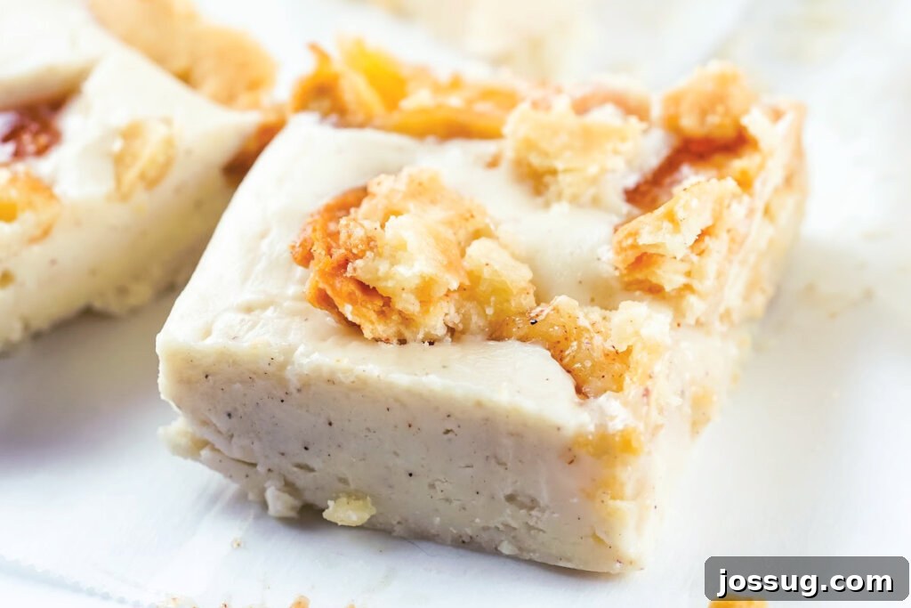 Spiced Apple Fudge 5 closeup apple pie fudge square
