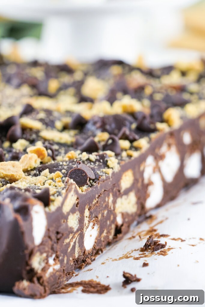 A large slab of S'mores Fudge after being cut, revealing the delightful inclusions of marshmallows and graham crackers within the rich dark chocolate.