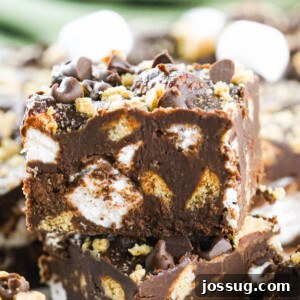 A close-up of a S'mores fudge square, showing its rich texture and inclusions.