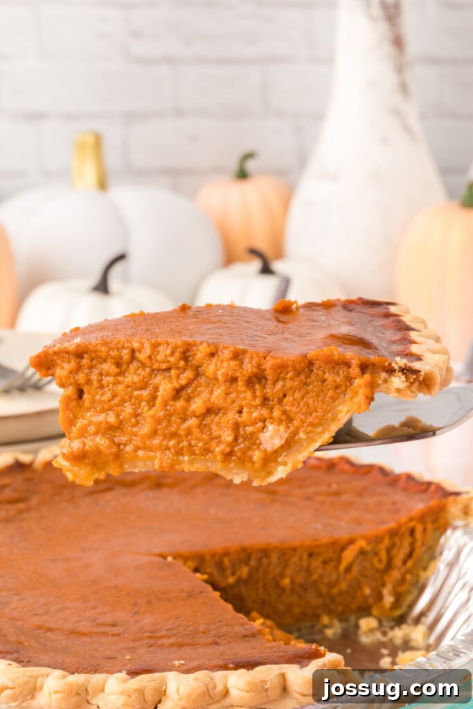 pumpkin pie slice on spatula