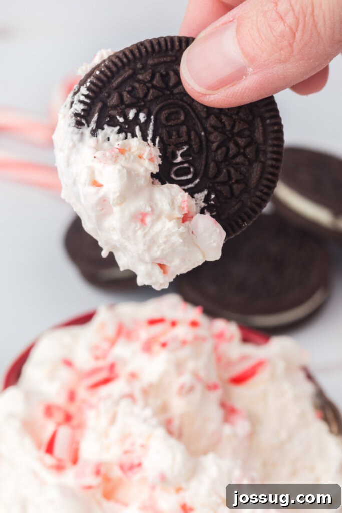 Festive Peppermint Cream 3 chocolate sandwich cookie dipped into candy cane dip