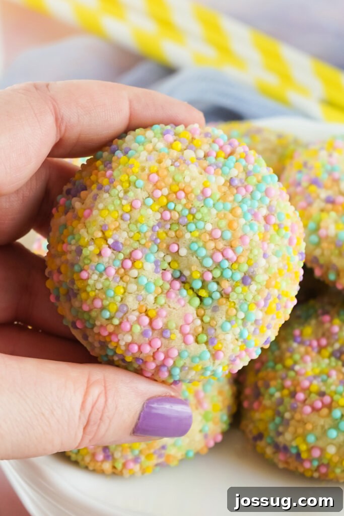 Hoppy Easter Sprinkle Bites 3 A hand gently holding a single, beautifully decorated Easter sprinkle cookie.