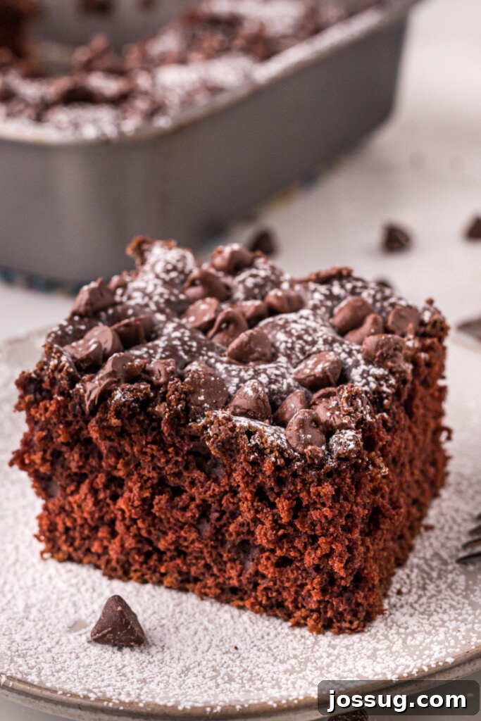 Everyday Chocolate Indulgence 2 slice of chocolate snack cake on plate, showing its moist texture